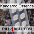 Kangaroo Essence 08